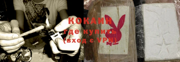 apvp Каменка