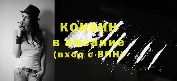 apvp Каменка