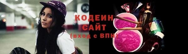крисы Инсар