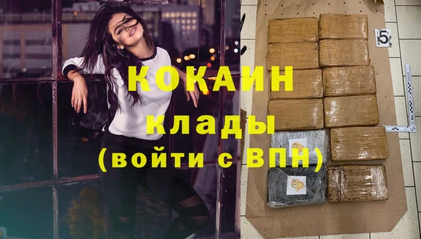 apvp Каменка