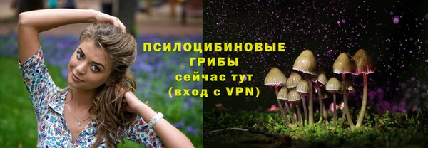 прущие крисы Инта